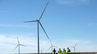 Texas, reino del petr&oacute;leo, lidera el uso de energ&iacute;a renovable en EEUU