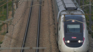 Gr&egrave;ve SNCF: trafic quasiment normal pr&eacute;vu mercredi, affirme le ministre des Transports