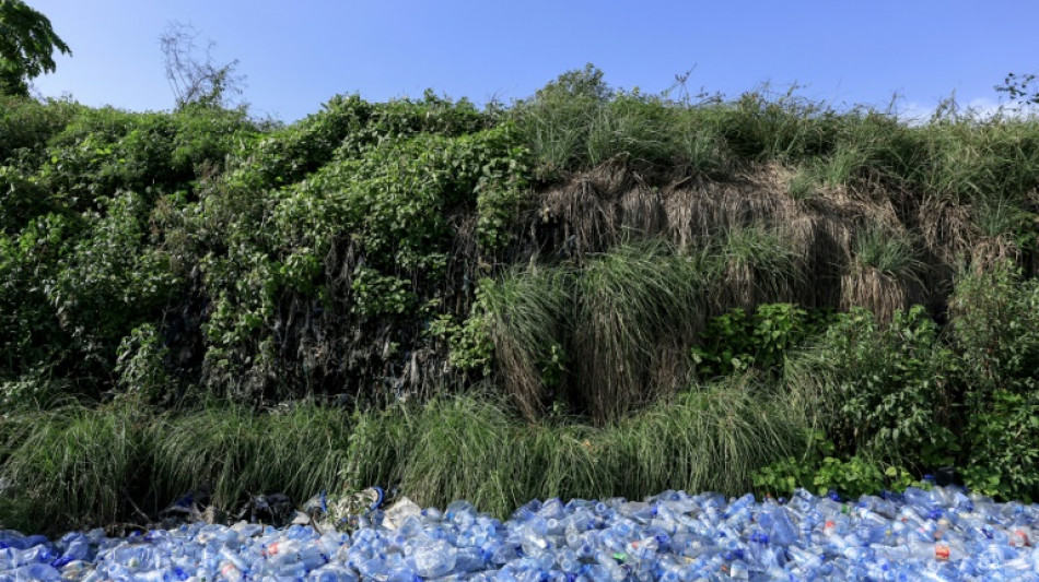 Studie: Weltweit wird weniger als zehn Prozent des Plastiks recycelt