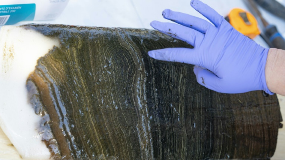 L'Anthropoc&egrave;ne n'est pas une nouvelle &eacute;poque g&eacute;ologique, estime l'instance scientifique de r&eacute;f&eacute;rence