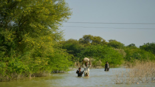 Food shock: Crop-battering disasters highlight climate threat