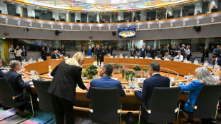 La UE y los pa&iacute;ses de los Balcanes buscan una aproximaci&oacute;n "m&aacute;s importante que nunca"