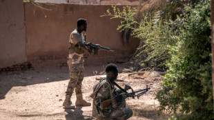El ej&eacute;rcito sudan&eacute;s afirma que entr&oacute; en una ciudad clave controlada por paramilitares