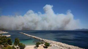 Waldbrand erreicht s&uuml;dfranz&ouml;sische Hafenstadt Marseille 