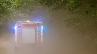 Waldbrand bei J&uuml;terbog unter Kontrolle