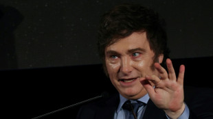 Milei cumple un a&ntilde;o como presidente de Argentina tras prometer un "shock" fiscal