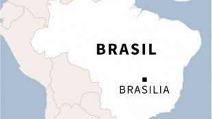Cuatro ni&ntilde;os muertos en un ataque con arma blanca en una guarder&iacute;a en el sur de Brasil
