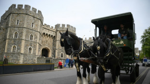 Windsor effervescente &agrave; un mois des festivit&eacute;s du jubil&eacute; d'Elizabeth II