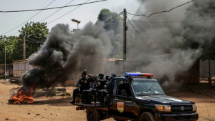 Bissau: un parti d'opposition dénonce un raid, quelques échauffourées dans la capitale