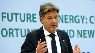 Habeck warnt nach Karlsruher Urteil vor Verlust von Arbeitspl&auml;tzen