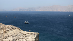Pasdaran, 'chiuso lo Stretto di Hormuz, non &egrave; pi&ugrave; sicuro'