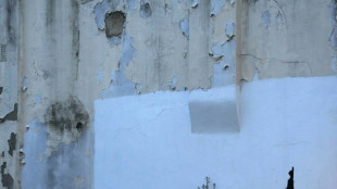 Artista de rua Banksy revela novo mural em Londres