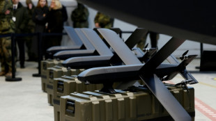 Kamikaze-Drohnen f&uuml;r die Bundeswehr: Haushaltsausschuss gibt gr&uuml;nes Licht