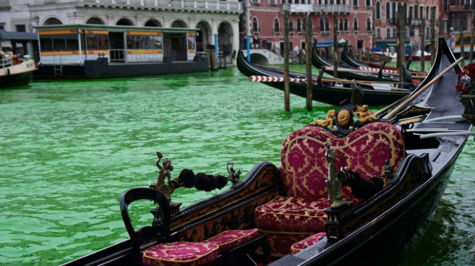 Climate activists dye Venice's Grand Canal green