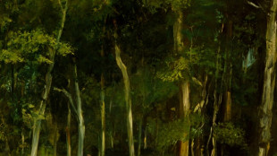 Un museo de Cambridge devolverá un cuadro expoliado por los nazis en París