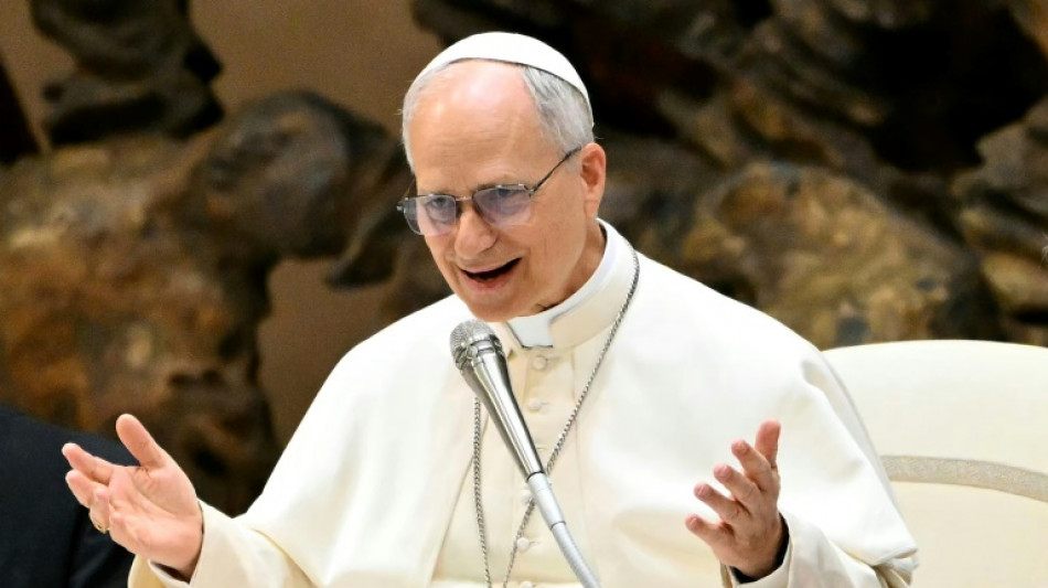 Papst fordert Freilassung inhaftierter Journalisten