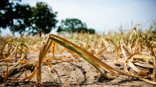 Wetterdienst: Gravierende Folgen für Deutschland durch beschleunigte Erwärmung