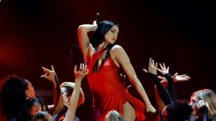 Federer et Dua Lipa parmi les co-pr&eacute;sidents du prochain gala du Met &agrave; New York