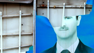 La comunidad internacional pide estabilidad a los rebeldes sirios tras la ca&iacute;da de Al Asad