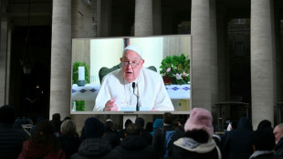 El papa condena de nuevo "la crueldad" de los bombardeos israel&iacute;es en Gaza