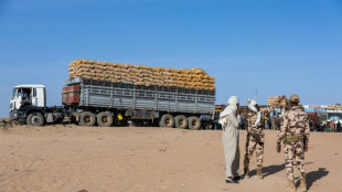 Sept soldats tchadiens tu&eacute;s dans une altercation avec les paramilitaires soudanais pr&egrave;s de la fronti&egrave;re