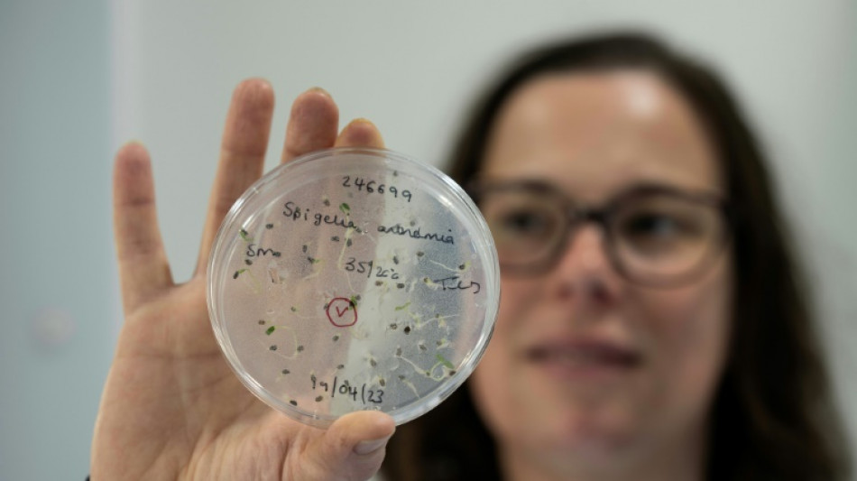 Inglaterra construye un arca de No&eacute; subterr&aacute;nea con plantas de todo el mundo