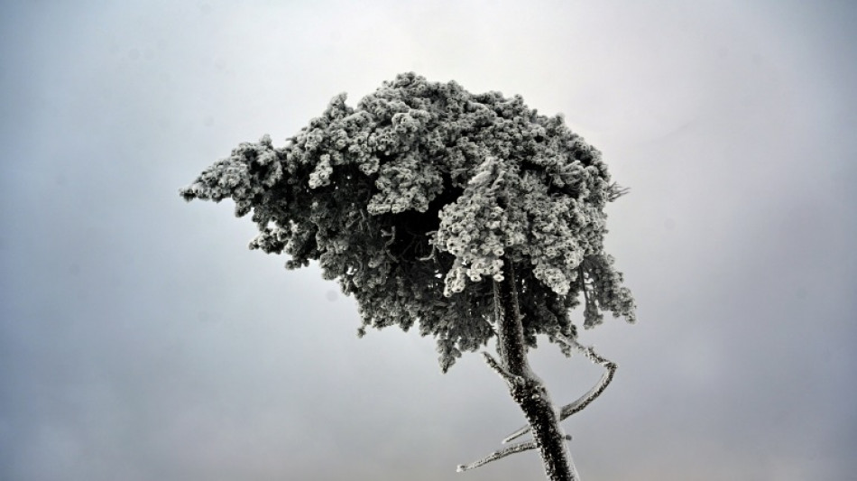 Aplazado el partido entre Bayern de M&uacute;nich y Union Berlin por fuertes nevadas
