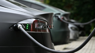 Bericht: Auff&auml;llig viele Arbeitsunf&auml;lle in deutscher Tesla-Fabrik