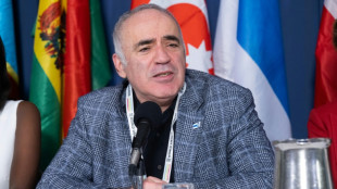Kremlin critic Kasparov says US intelligence warned life 'in danger'