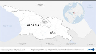 Un avión carguero militar turco con 20 personas a bordo se estrella en Georgia