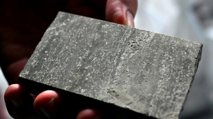 En Bosnie, du lithium, du magn&eacute;sium et quelques doutes