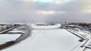 Las olas de fr&iacute;o extremo en Europa del Norte son menos frecuentes, pero m&aacute;s peligrosas