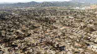Catastrophes naturelles: les incendies de Los Angeles font gonfler les pertes &eacute;conomiques 