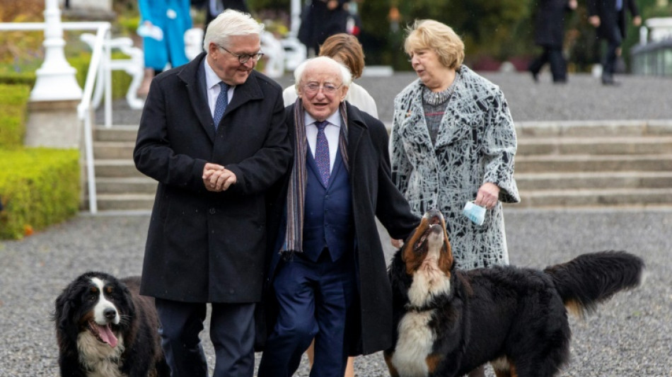 Ireland&#039;s president isolating with Covid: office