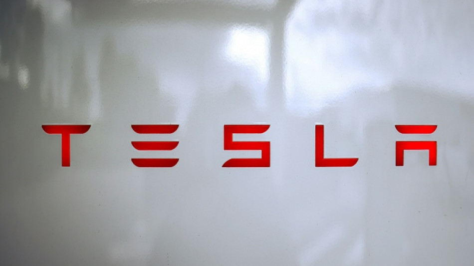 Tesla to offer shareholders chance to invest in xAI: Musk