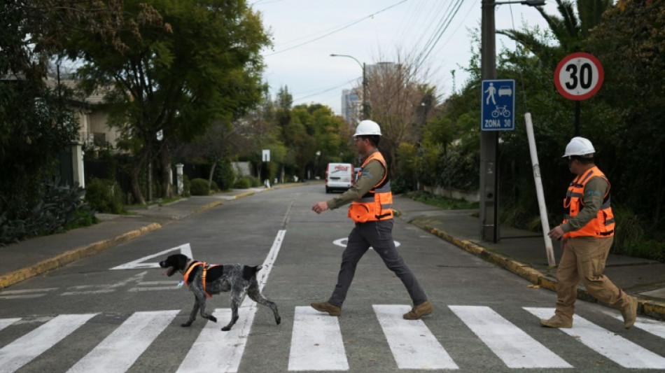 Suki, el &uacute;nico olfato que detecta fugas de agua subterr&aacute;neas en Chile
