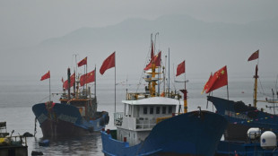Pr&egrave;s de Ta&iuml;wan, des regroupements de bateaux chinois intriguent les experts