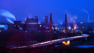 Allemagne&nbsp;: les &eacute;missions de CO2 au plus bas depuis 70 ans