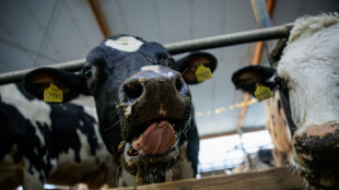 Erzeugerpreise f&uuml;r landwirtschaftliche Produkte steigen auch im Juni