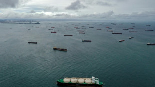 Presidente de Panam&aacute; resta importancia a restricciones de tr&aacute;nsitos por el Canal