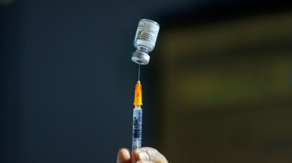 La b&uacute;squeda de una vacuna universal contra los coronavirus