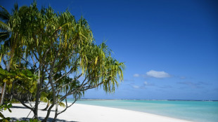 Ocho meses solo en una isla polinesia para repensar la conexi&oacute;n con la naturaleza