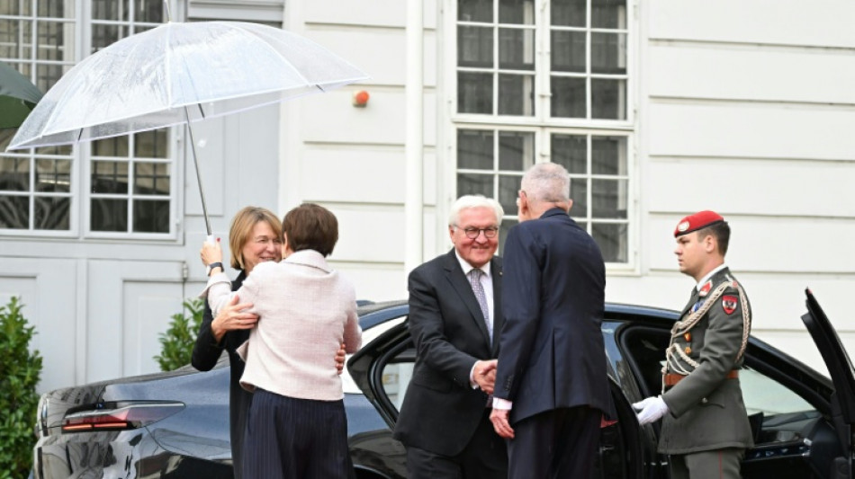 Steinmeier von Van der Bellen bei Staatsbesuch in &Ouml;sterreich empfangen
