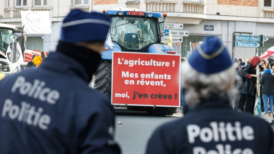 Deficiencias en la trazabilidad de exportaciones brasile&ntilde;as de carne de vacuno a la UE