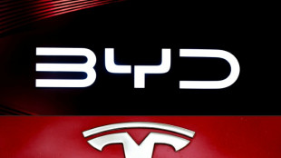 Vendas da Tesla caem e chinesa BYD lidera mercado de carros el&eacute;tricos