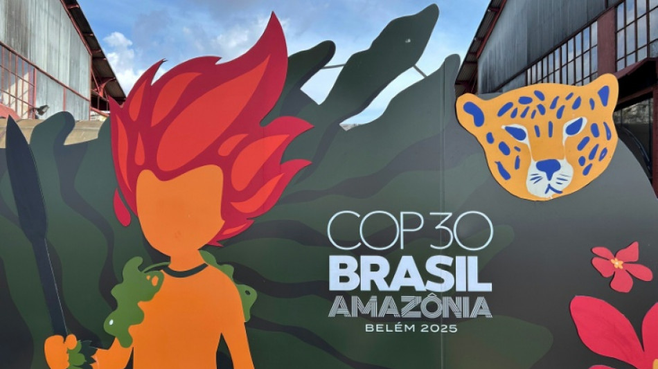 Wei&szlig;es Haus: USA schicken keine ranghohen Vertreter zur Klimakonferenz COP30