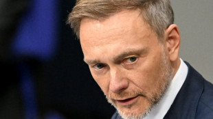 Lindners Einstieg bei US-Beratungsfirma sorgt f&uuml;r Kritik