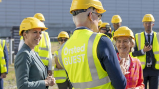 El grupo dan&eacute;s &Oslash;rsted construir&aacute; en Reino Unido el mayor parque e&oacute;lico marino del mundo