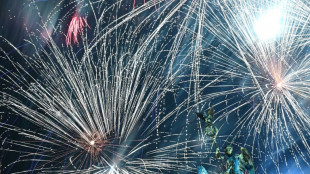 German dog owners sit out New Year's Eve chaos in airport hotels