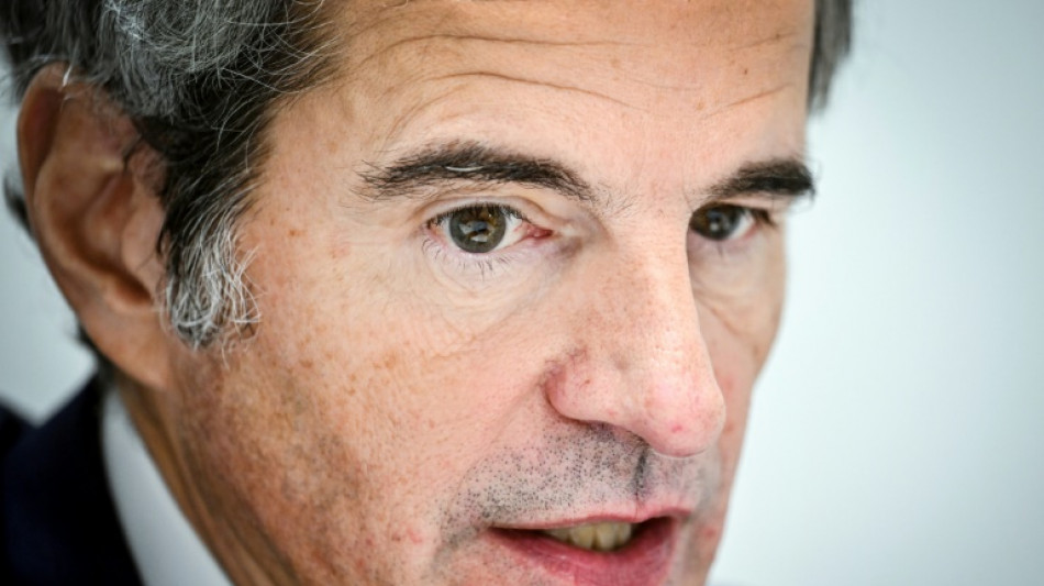 "Hay que conseguir los medios" para desarrollar la energ&iacute;a nuclear, defiende el jefe del OIEA